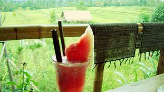 田園風景のオーガニックカフェ「ボダッ・マリア(サリ・オーガニック）」