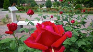 １年を通じて楽しめます！