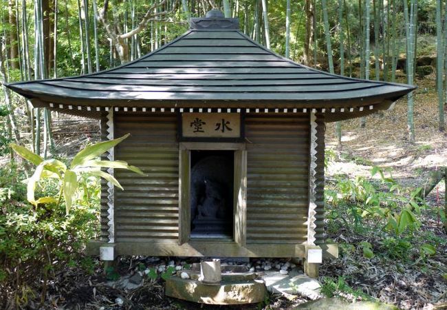 ナツズイセン　パステル画　箱根長安寺 長安寺 クチコミ・アクセス・営業時間｜仙石原【フォートラベル】