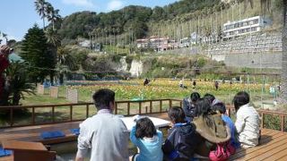 お花を見ながら足湯はいかが？