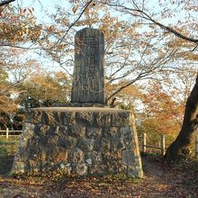 別名　舞鶴城址と書かれた石碑が建っています。