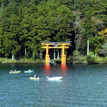 箱根神社の鳥居