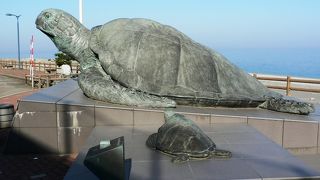 親不知周辺が良く見える道の駅親不知ピアパーク