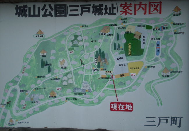 城山公園 クチコミ アクセス 営業時間 八戸 フォートラベル