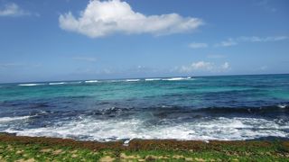 カメに遭遇できる確率は！