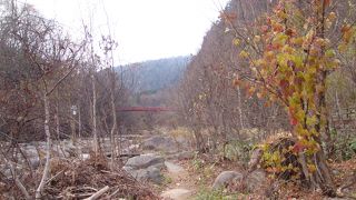 自然の豊かさを体験できる