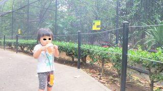 お父さんの子守には最適