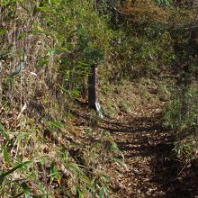 北谷から千間平コースの登山道