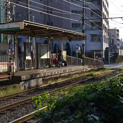 都電荒川線　春日通り沿いの駅　ここから大塚駅前までの線路脇にあるバラに注目です