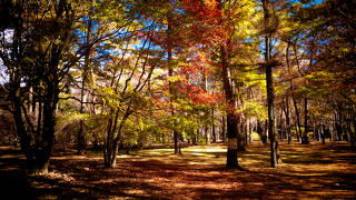 気軽に自然と触れあえるオススメスポット