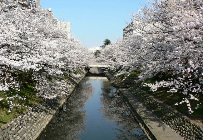 松川辺り