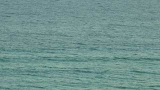 ゴミ一つないビーチ