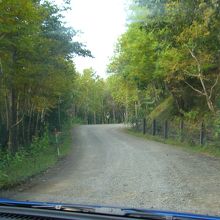 知床五胡より滝までの道のりは御覧のように未舗装になってます。