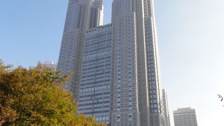 夜の東京は光の海！