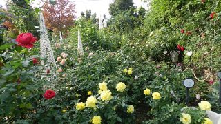 ひらパーへ薔薇を見に行こう！