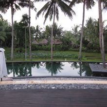 椰子の木の影にヴィラ！！メインプールより