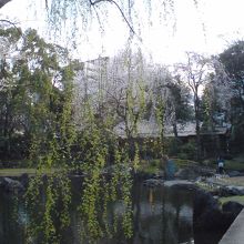 靖国神社　神池庭園