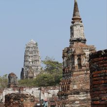 色々な様式の仏塔が並ぶ風景