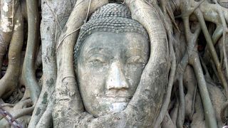 ワット・プラ・マハータートは木に取り込まれた仏頭がある謎の多い仏教寺院