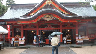 天然記念物の亜熱帯性植物に囲まれた神社