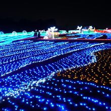 かなりの広さです