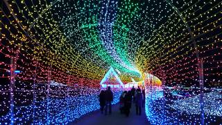 施設内も自家用車で自由にまわれるパーク