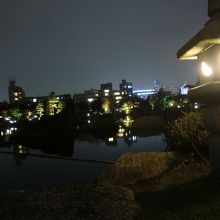 池に映るライトアップ