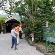 マカダミアナッツ ファーム アウトレット