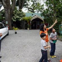お店の前にはマカダミアナッツの木
