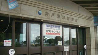 大人も子供も楽しめる。