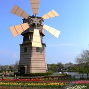風車と花を楽しむことができる「道の駅しんあさひ風車村」