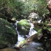 水が綺麗です。