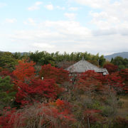 桜と紅葉の名所　京都市内は勿論大阪のビル群まで遠望できる見晴らし　将軍塚大日堂はお勧めです