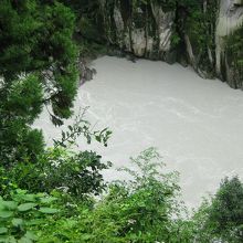 台風明けで天竜川は濁ってました