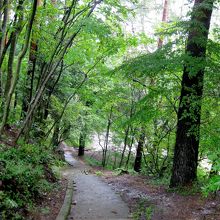 こんな小道を歩いて行きます。
