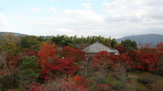 桜と紅葉の名所　京都市内は勿論大阪のビル群まで遠望できる見晴らし　将軍塚大日堂はお勧めです