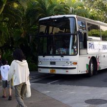 朝９時にウェット・アンド・ワイルド・ハワイの送迎バスがやって