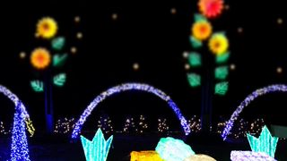 ☆千葉県最大級の穴場イルミネーションイベント☆