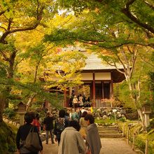 山門前はまだまだ青葉