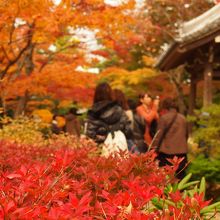 柔らかな色があたりを包む