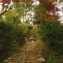 釣鐘堂わきの石段付近はまだ青葉