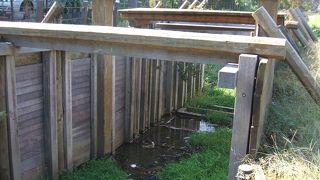 歴史に触れられます