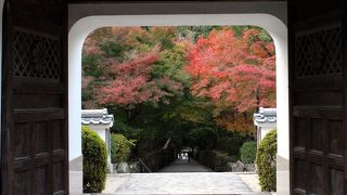 宇治十二景の琴坂は200mにも及ぶ紅葉のトンネル