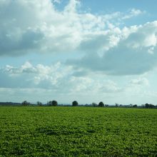 移動中、のどかな風景が続きます。