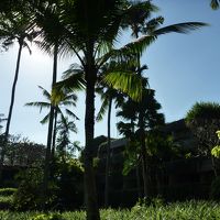 敷地内は緑がたくさんで気持ち良いです