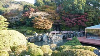 とても綺麗な日本庭園でした。