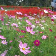 1時間滞在でちょうどいい