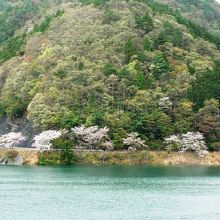 永源寺湖 の光景
