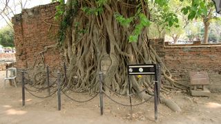 写真の高さに注意」