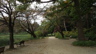 時間つぶし散歩　大宮公園（第一）
